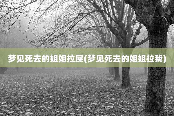 梦见死去的姐姐拉屎(梦见死去的姐姐拉我)