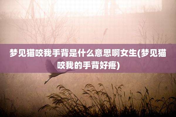 梦见猫咬我手背是什么意思啊女生(梦见猫咬我的手背好疼)