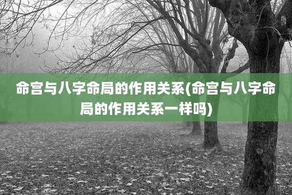 命宫与八字命局的作用关系(命宫与八字命局的作用关系一样吗)