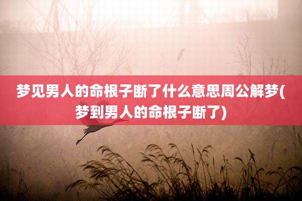 梦见男人的命根子断了什么意思周公解梦(梦到男人的命根子断了)