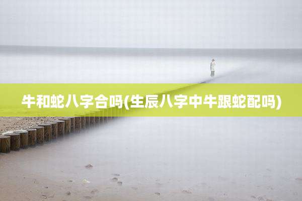 牛和蛇八字合吗(生辰八字中牛跟蛇配吗)