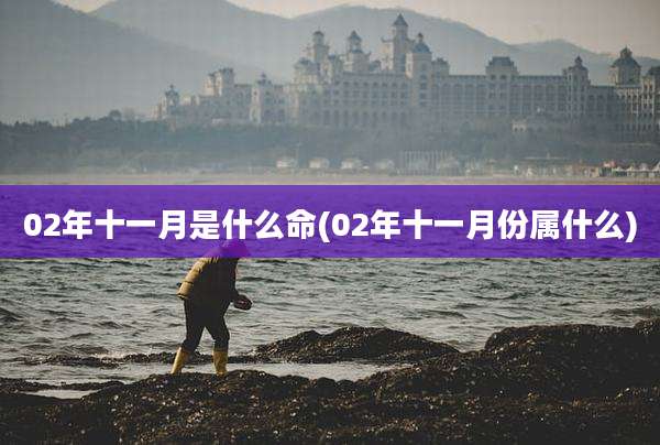 02年十一月是什么命(02年十一月份属什么)