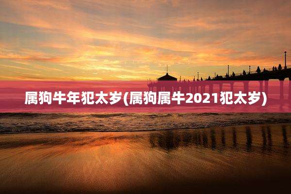 属狗牛年犯太岁(属狗属牛2021犯太岁)