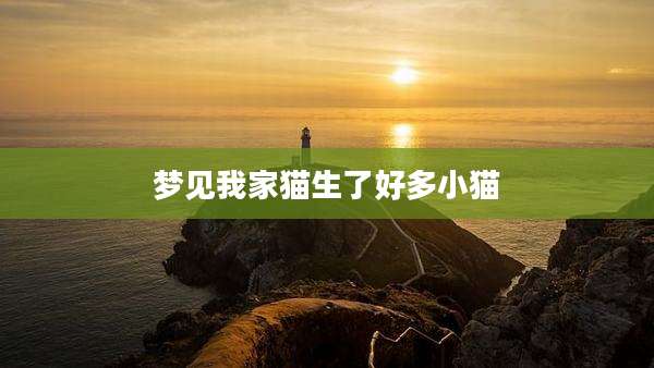 梦见我家猫生了好多小猫