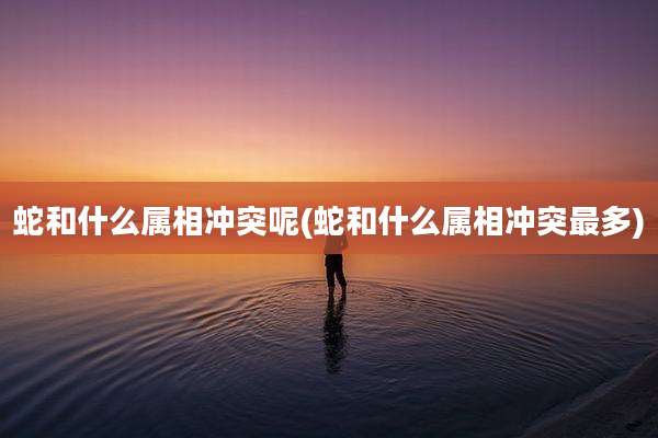 蛇和什么属相冲突呢(蛇和什么属相冲突最多)