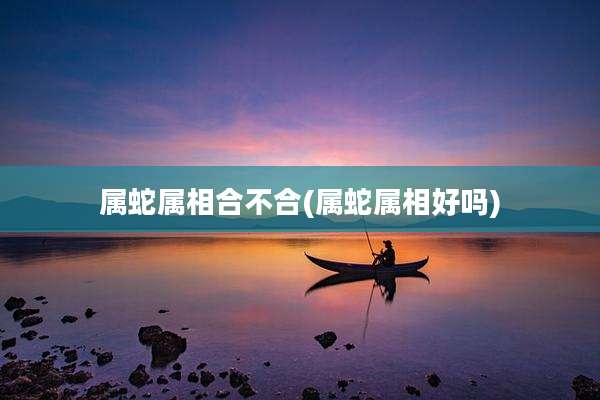 属蛇属相合不合(属蛇属相好吗)