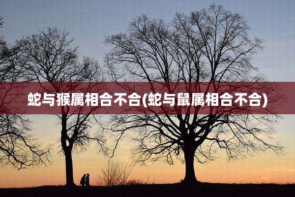 蛇与猴属相合不合(蛇与鼠属相合不合)