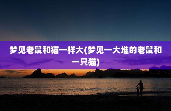 梦见老鼠和猫一样大(梦见一大堆的老鼠和一只猫)