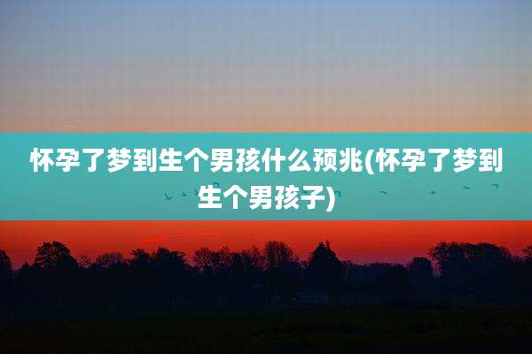 怀孕了梦到生个男孩什么预兆(怀孕了梦到生个男孩子)