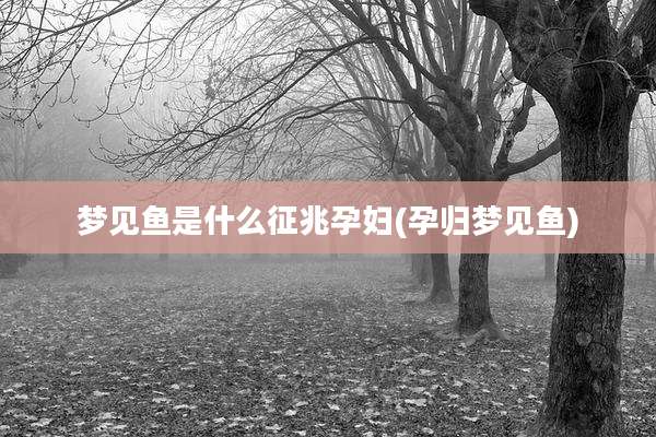 梦见鱼是什么征兆孕妇(孕归梦见鱼)