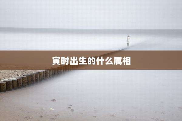 寅时出生的什么属相