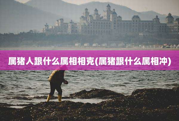 属猪人跟什么属相相克(属猪跟什么属相冲)