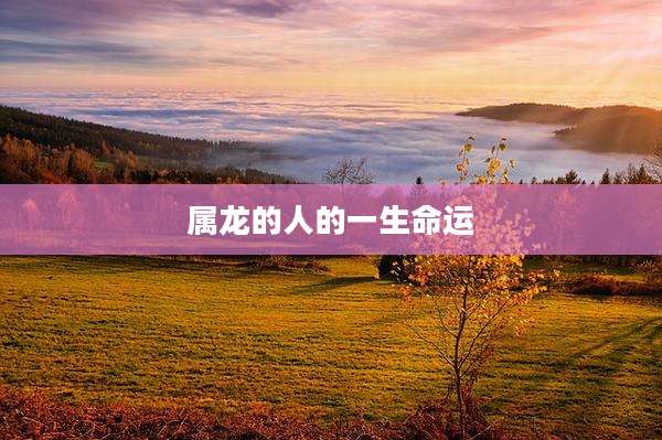 属龙的人的一生命运