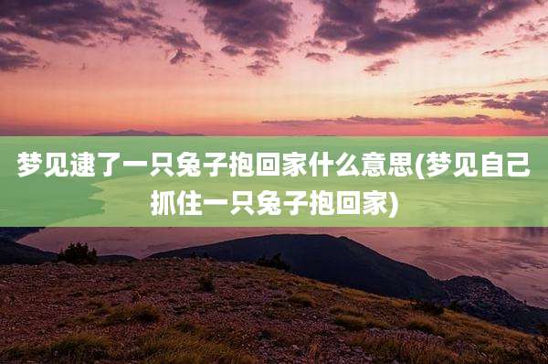 梦见逮了一只兔子抱回家什么意思(梦见自己抓住一只兔子抱回家)