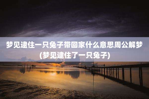 梦见逮住一只兔子带回家什么意思周公解梦(梦见逮住了一只兔子)
