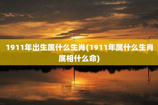 1911年出生属什么生肖(1911年属什么生肖属相什么命)