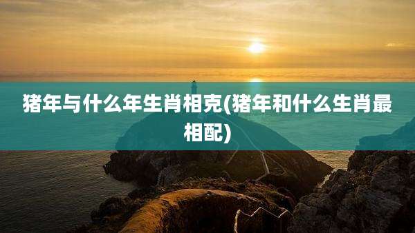 猪年与什么年生肖相克(猪年和什么生肖最相配)