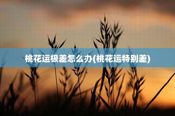桃花运极差怎么办(桃花运特别差)