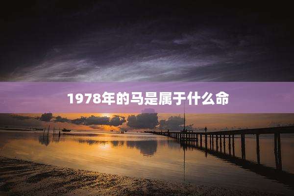1978年的马是属于什么命