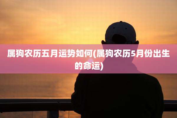属狗农历五月运势如何(属狗农历5月份出生的命运)