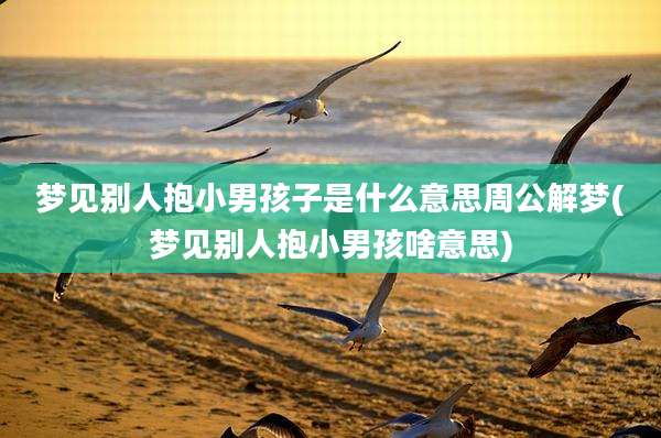 梦见别人抱小男孩子是什么意思周公解梦(梦见别人抱小男孩啥意思)