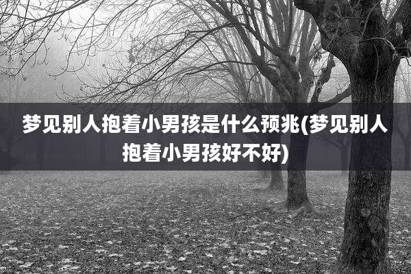 梦见别人抱着小男孩是什么预兆(梦见别人抱着小男孩好不好)