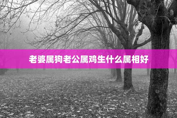老婆属狗老公属鸡生什么属相好
