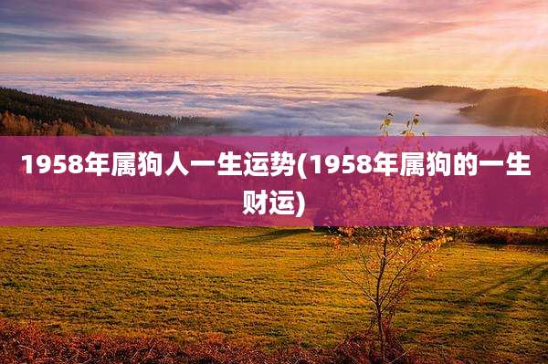 1958年属狗人一生运势(1958年属狗的一生财运)