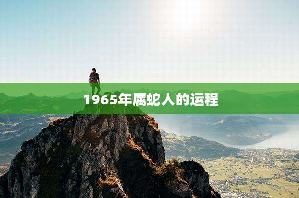 1965年属蛇人的运程