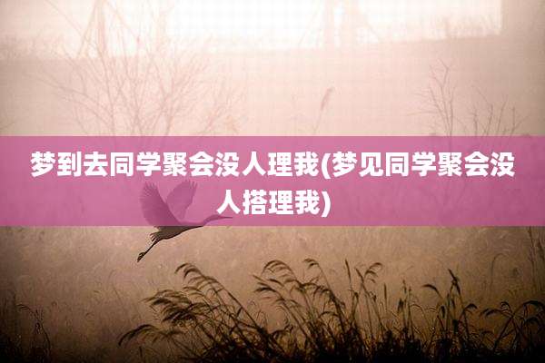 梦到去同学聚会没人理我(梦见同学聚会没人搭理我)