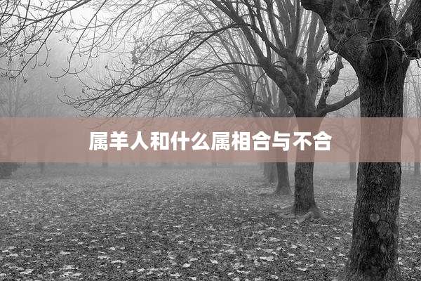 属羊人和什么属相合与不合