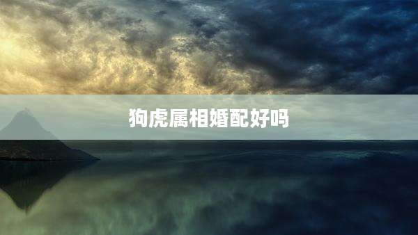 狗虎属相婚配好吗