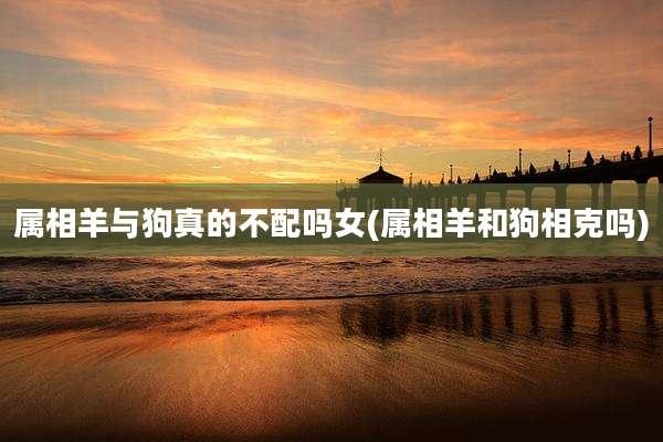 属相羊与狗真的不配吗女(属相羊和狗相克吗)