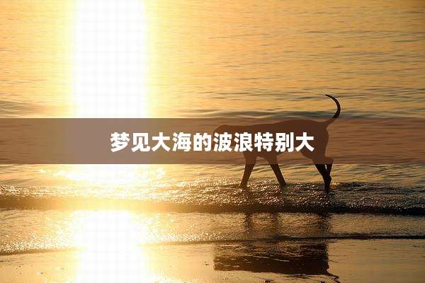 梦见大海的波浪特别大
