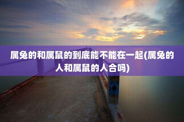 属兔的和属鼠的到底能不能在一起(属兔的人和属鼠的人合吗)