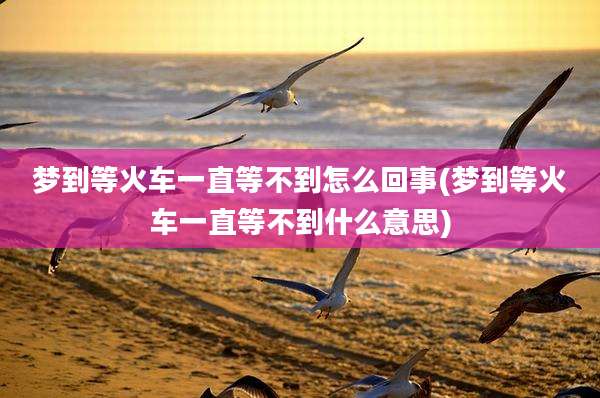 梦到等火车一直等不到怎么回事(梦到等火车一直等不到什么意思)