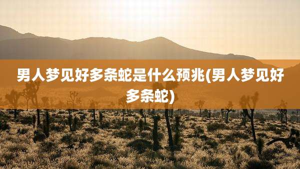 男人梦见好多条蛇是什么预兆(男人梦见好多条蛇)