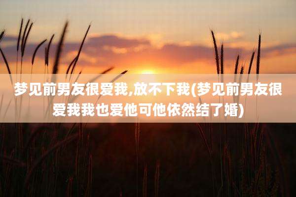 梦见前男友很爱我,放不下我(梦见前男友很爱我我也爱他可他依然结了婚)