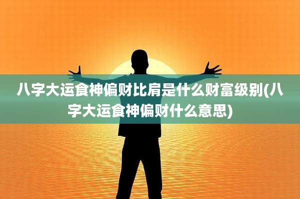 八字大运食神偏财比肩是什么财富级别(八字大运食神偏财什么意思)