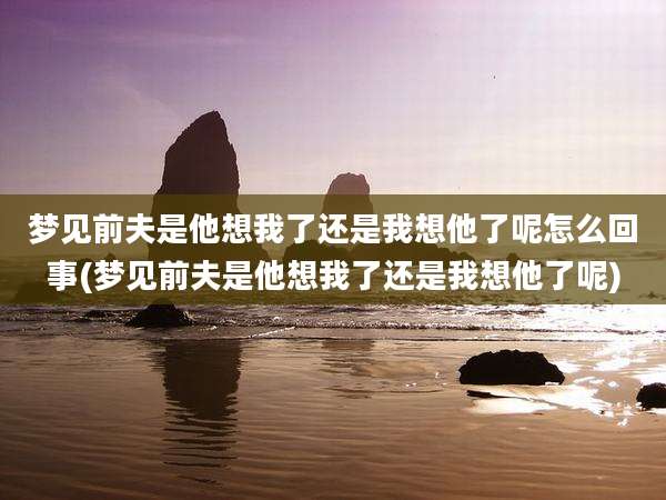 梦见前夫是他想我了还是我想他了呢怎么回事(梦见前夫是他想我了还是我想他了呢)