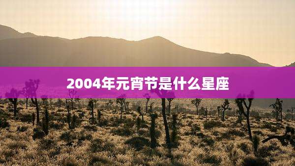 2004年元宵节是什么星座