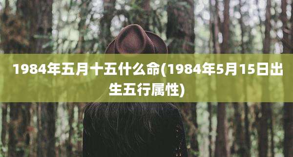 1984年五月十五什么命(1984年5月15日出生五行属性)