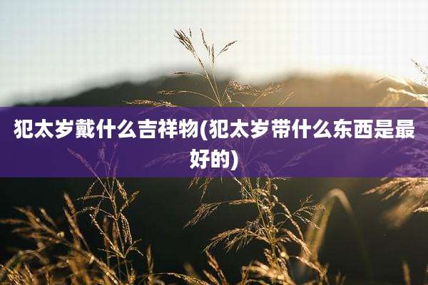犯太岁戴什么吉祥物(犯太岁带什么东西是最好的)