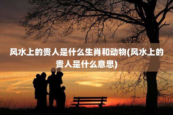 风水上的贵人是什么生肖和动物(风水上的贵人是什么意思)