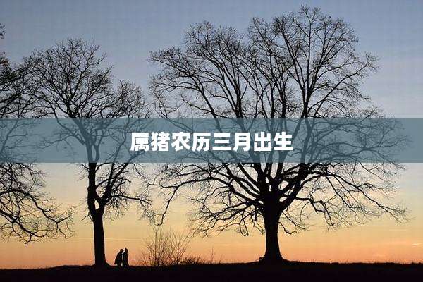 属猪农历三月出生