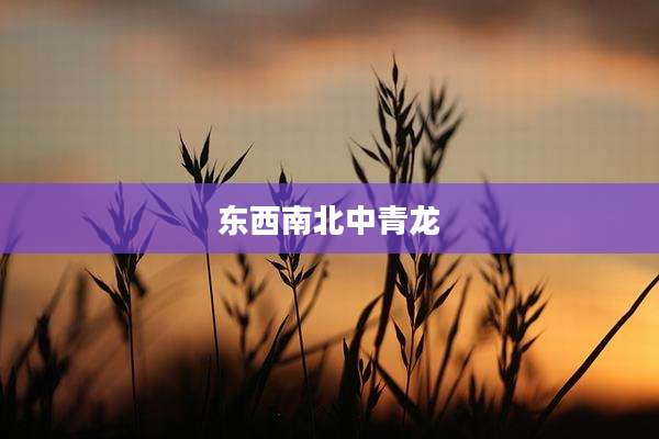 东西南北中青龙