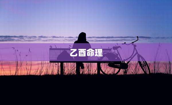 乙酉命理