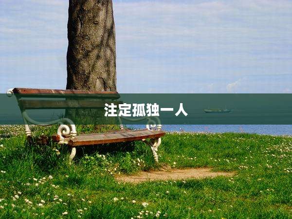 注定孤独一人