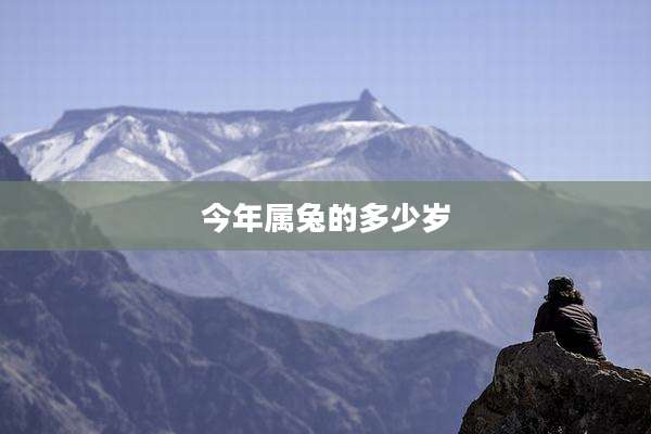 今年属兔的多少岁