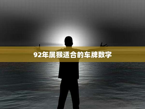92年属猴适合的车牌数字